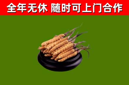 开阳县烟酒回收冬虫夏草.jpg